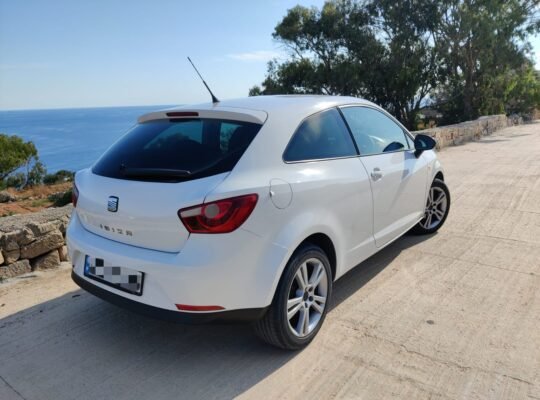 Seat Ibiza 2010