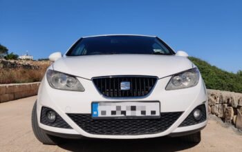 Seat Ibiza 2010