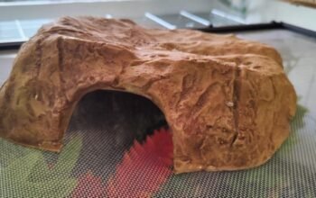 Snake Hide