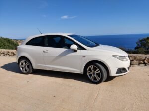 Seat Ibiza 2010