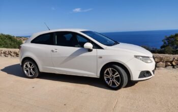 Seat Ibiza 2010
