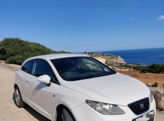 Seat Ibiza 2010