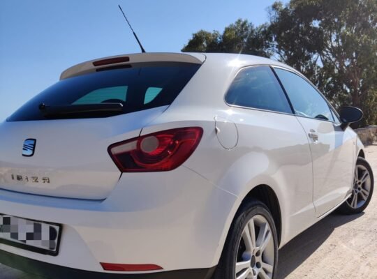Seat Ibiza 2010